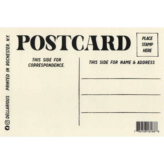 Jerry Garcia in Egypt Postcard