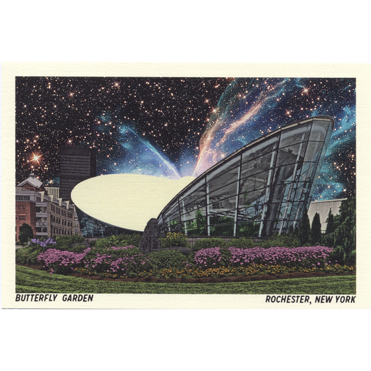 Butterfly Garden Postcard