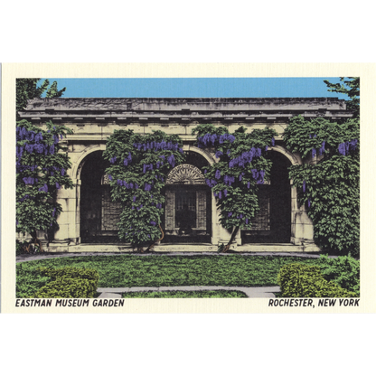Eastman Museum Garden Postcard