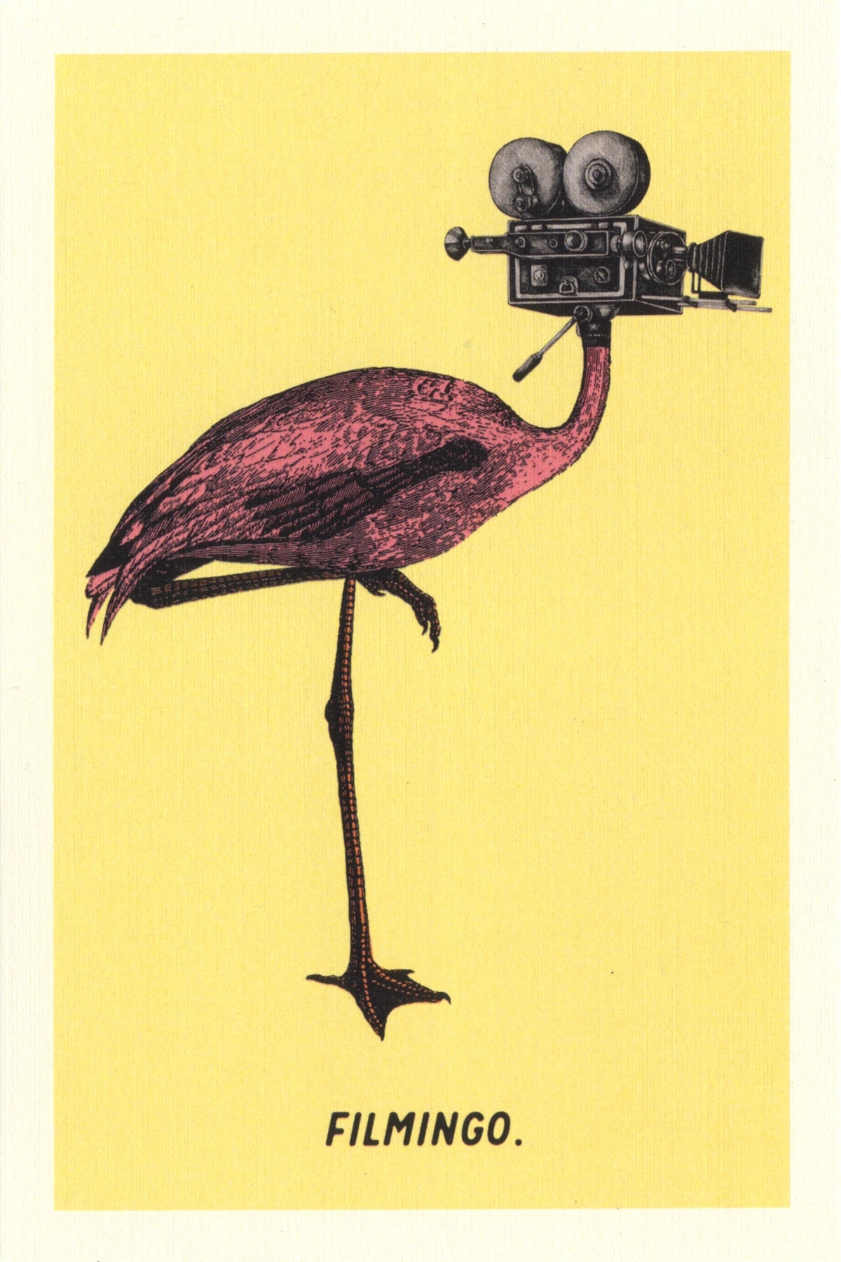 Filmingo Postcard