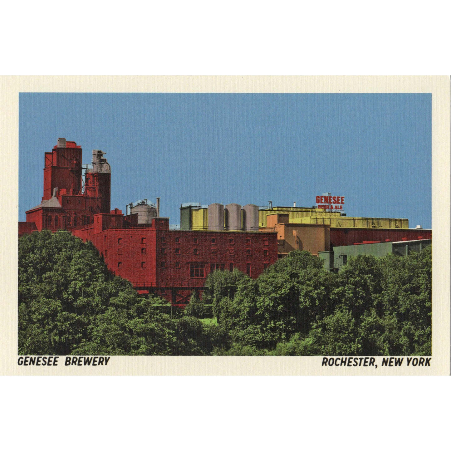 Genesee Brewery Postcard