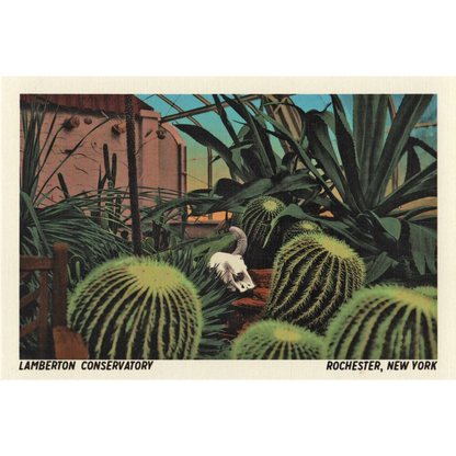Lamberton/Cactus Postcard