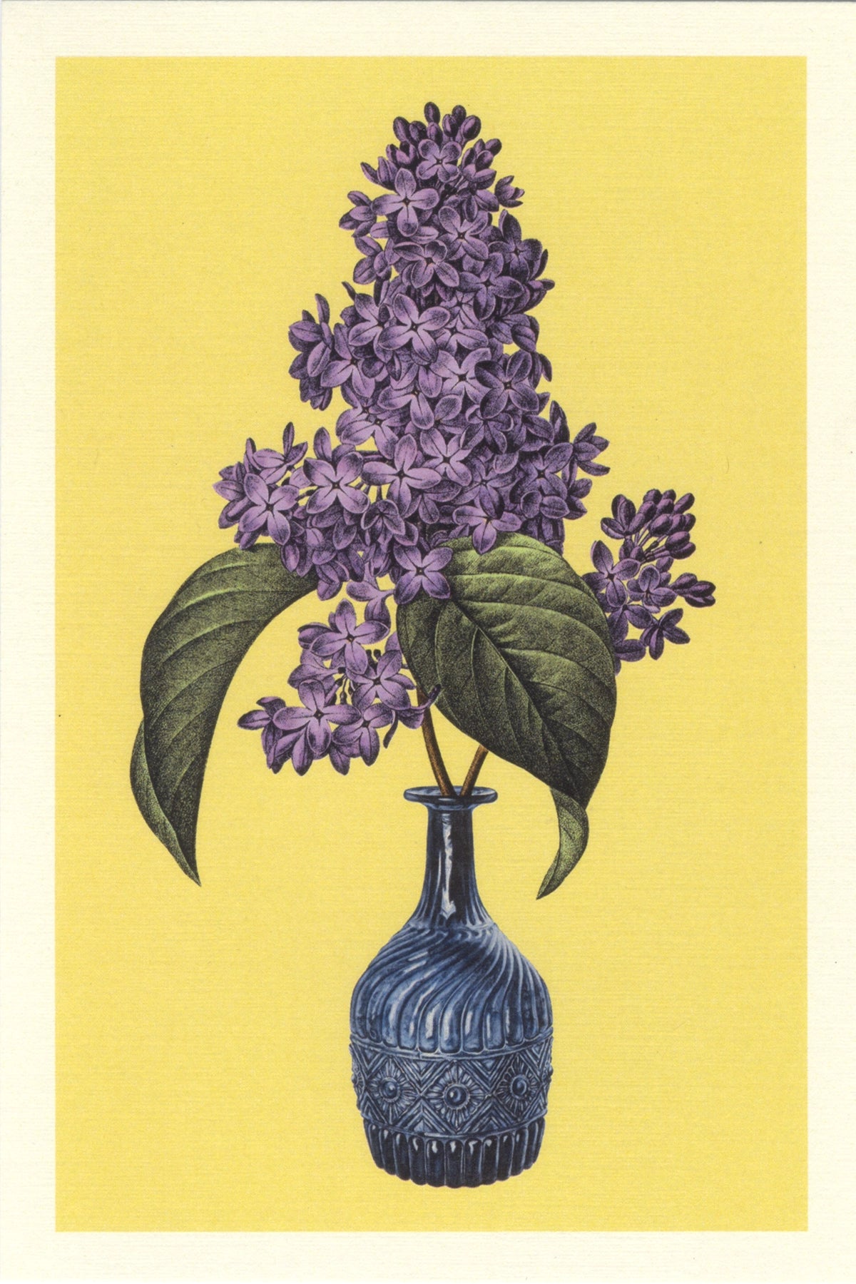 Lilac Vase Postcard