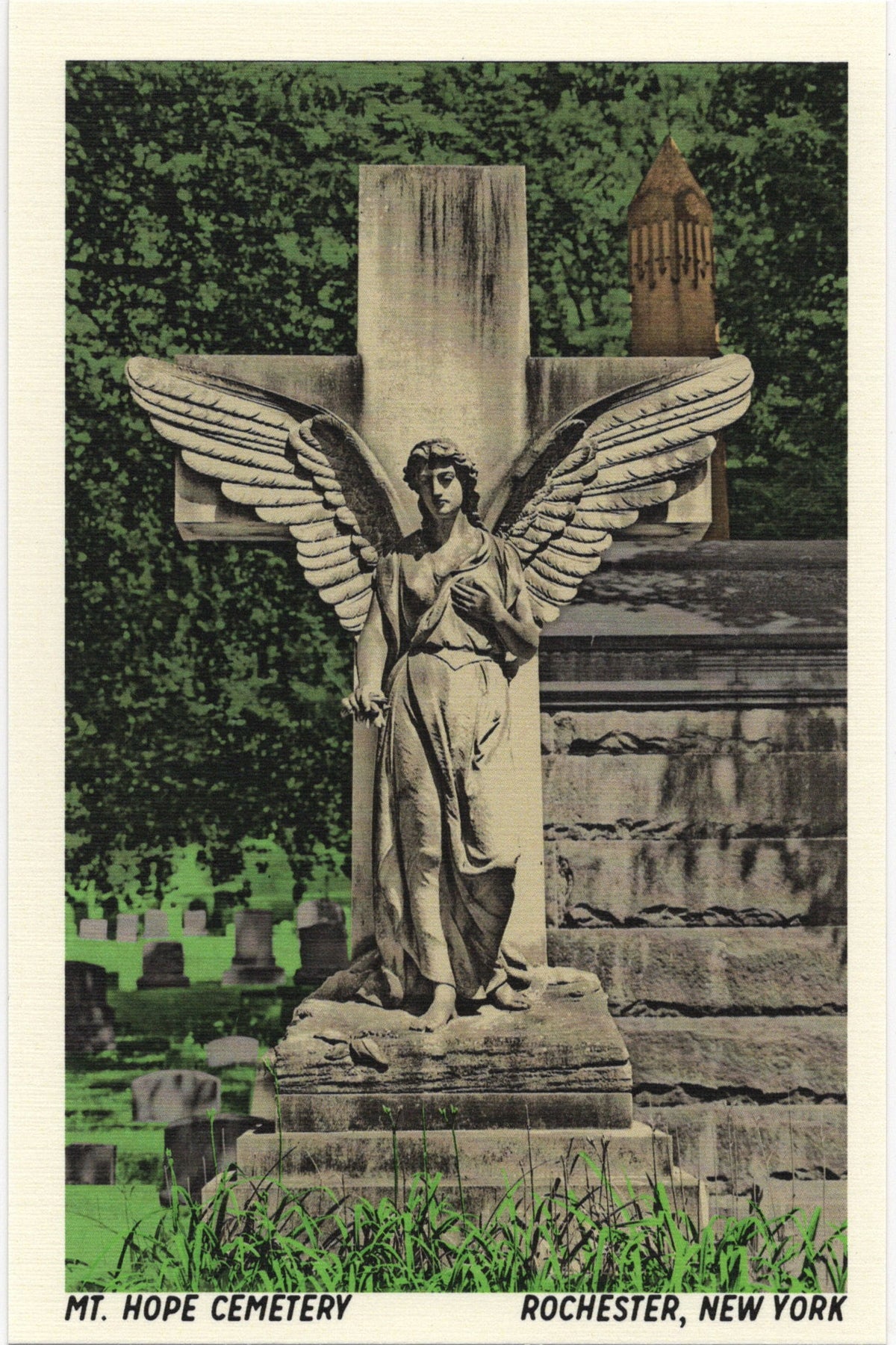 Mt. Hope Cemetery Postcard
