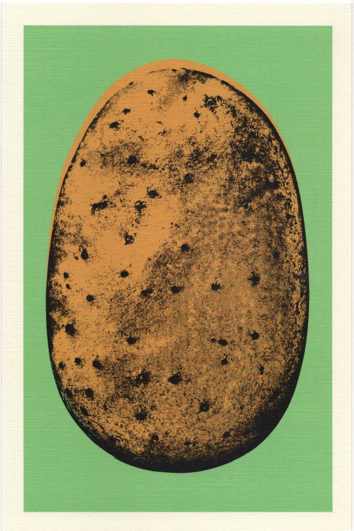 Potato Postcard